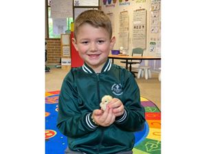 2020 Kindergarten Chick 10