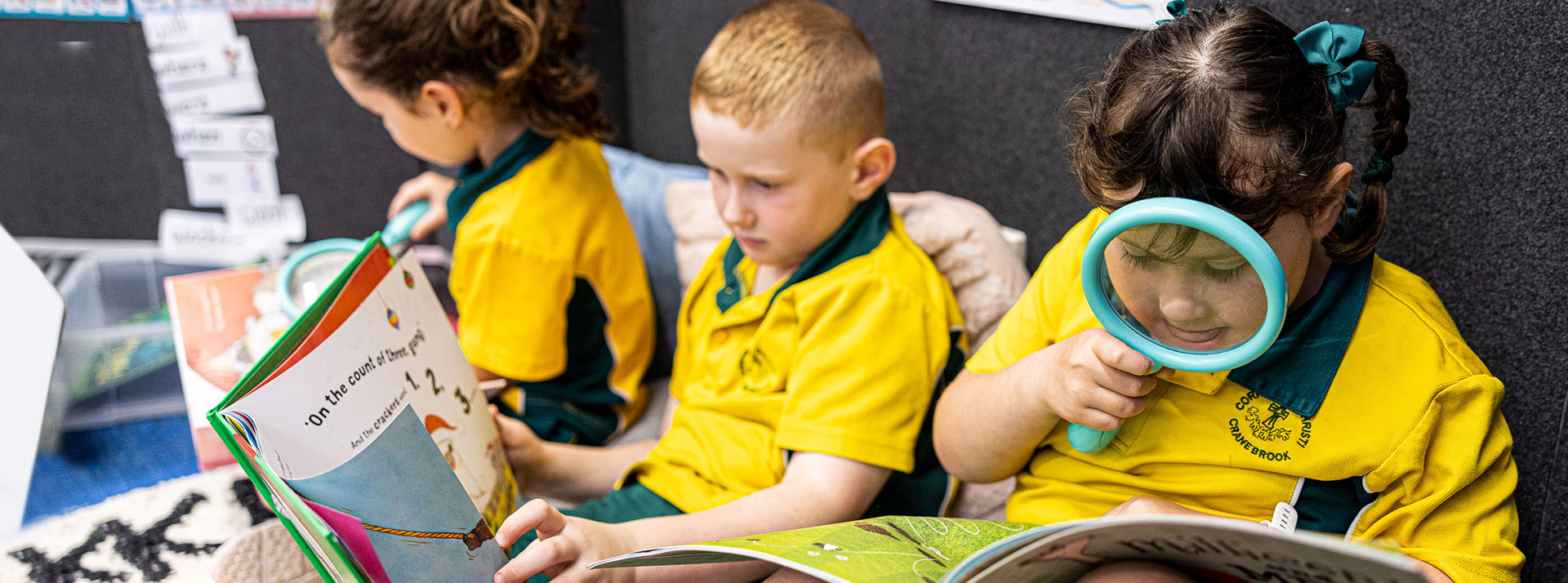 Policies and Procedures