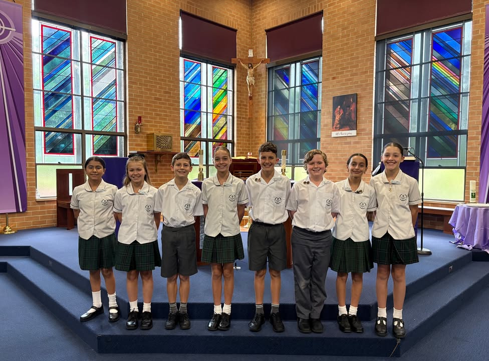 641437264651150_1517633350364866-1